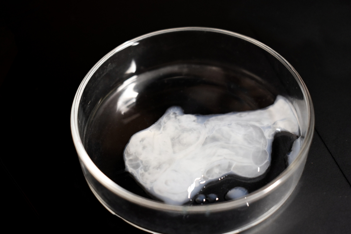 图 8，未液化的精液